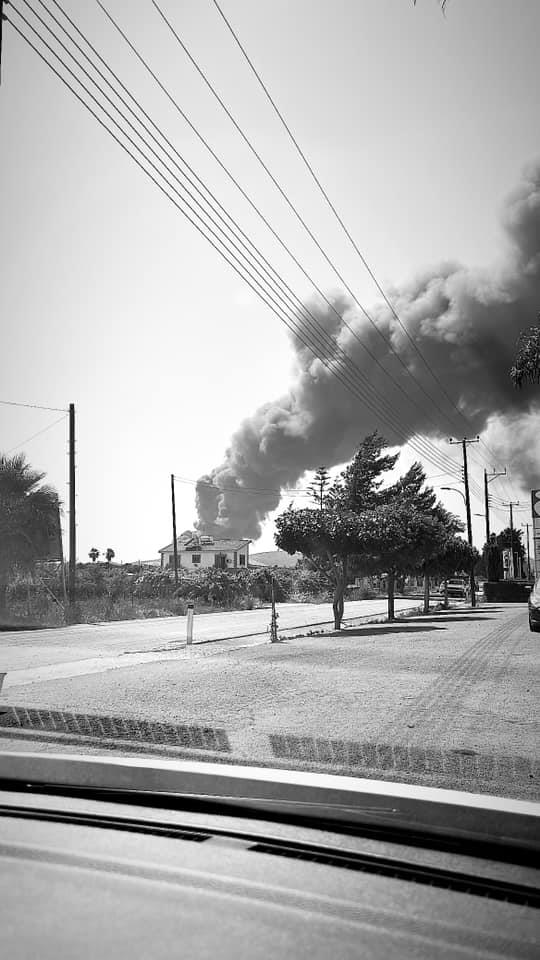 4241935168222393 image