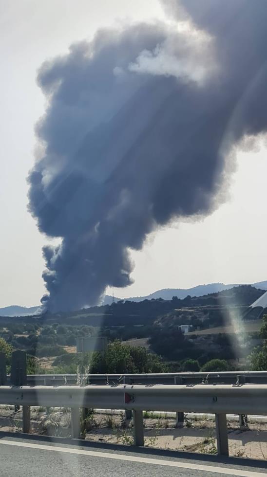 4241999323341946 image