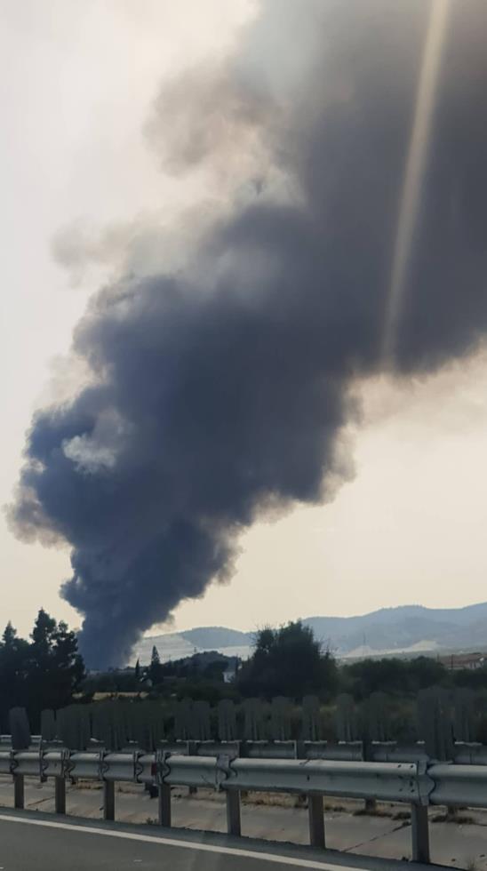 4241999390265946 image