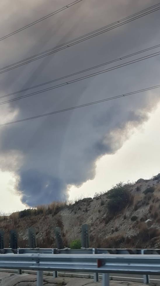 4241999460933946 image