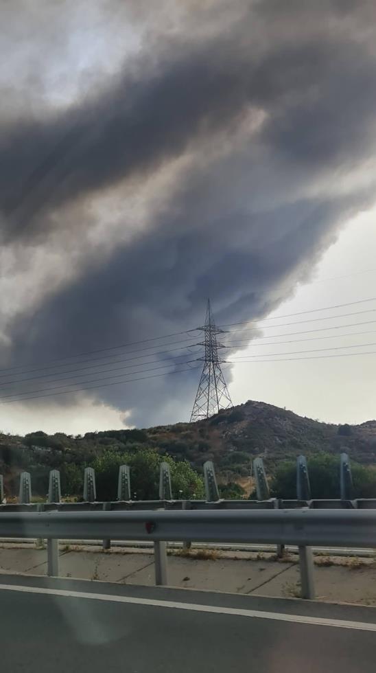 4241999522241946 image