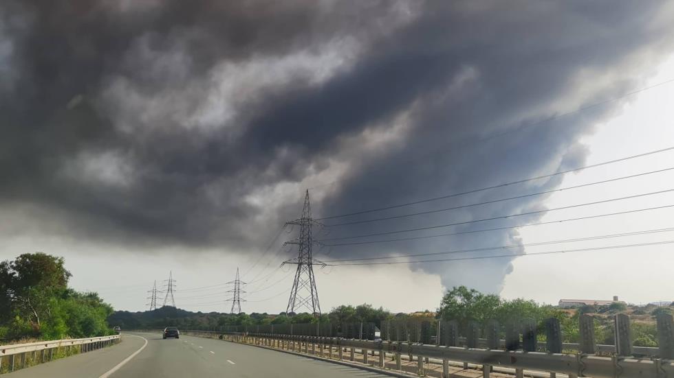 4241999582145946 image