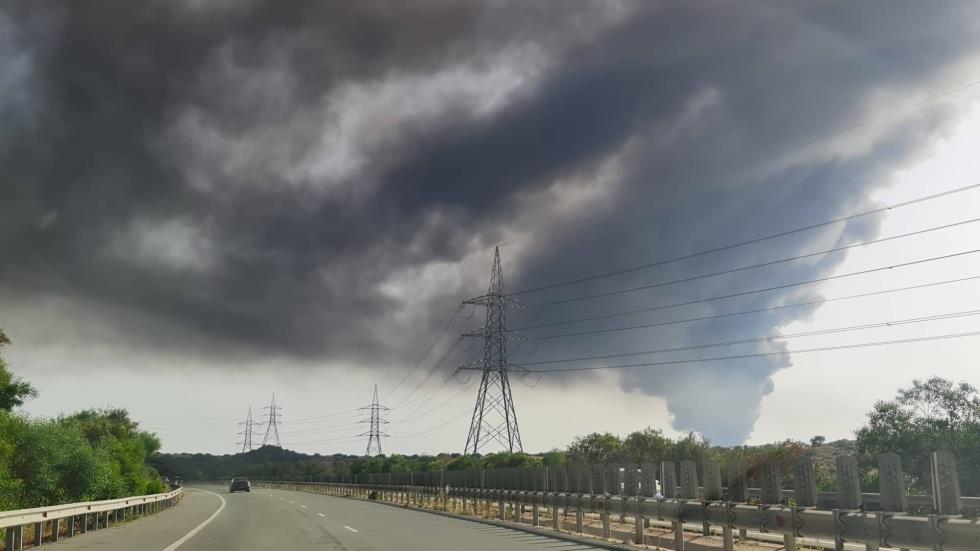 4241999732841946 image