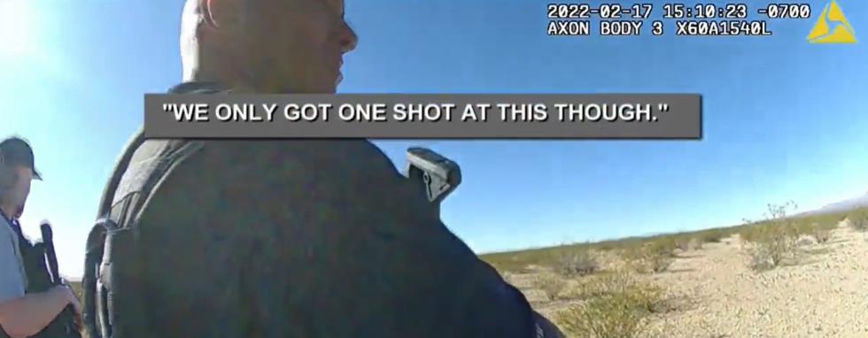 4242008887077946 image