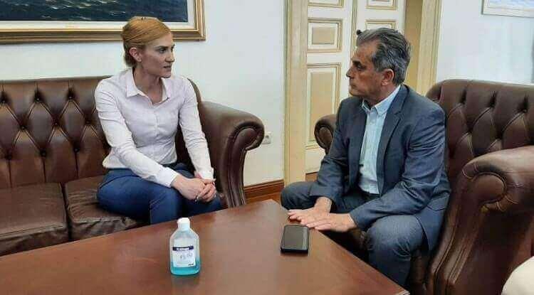 4246113066222151 image