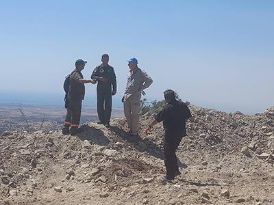 4252143823884533 image