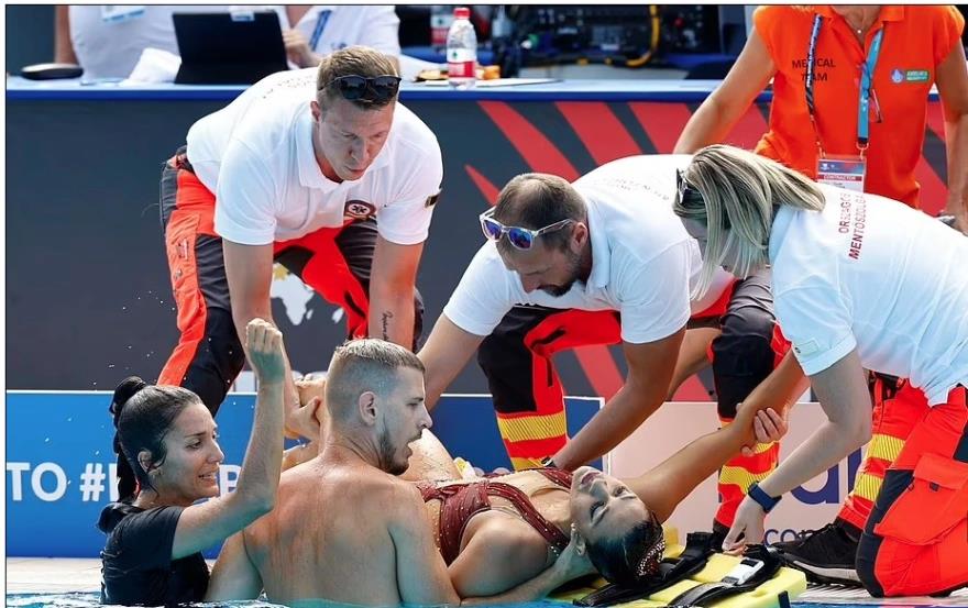 4252527611677450 image