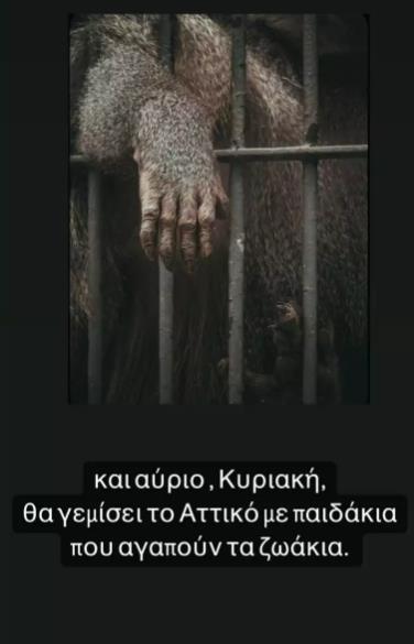 4254764228890367 image