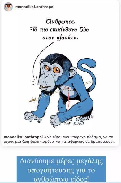 4255555994153246 image