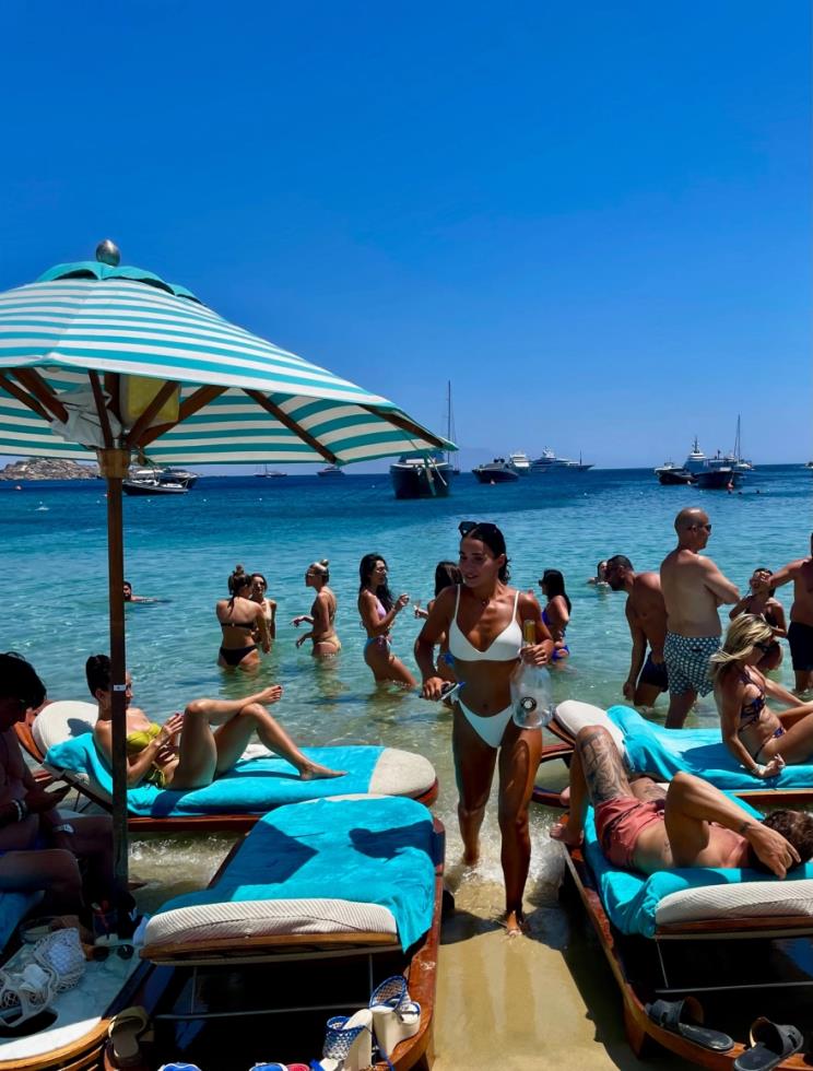 4260910708684831 image