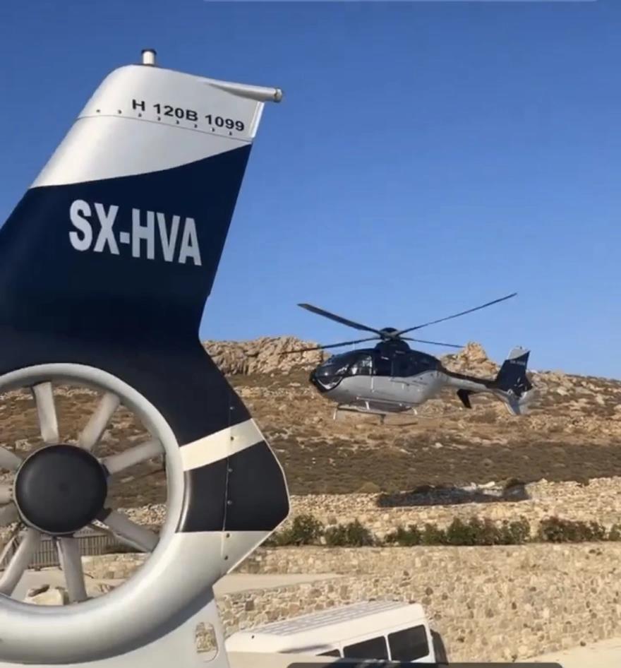 4261650322974533 image