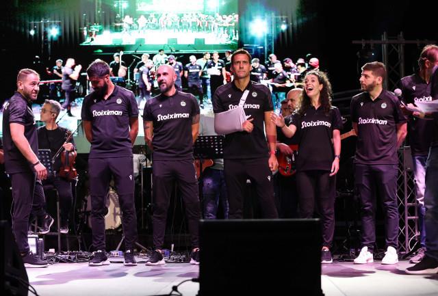 4262077132462682 image