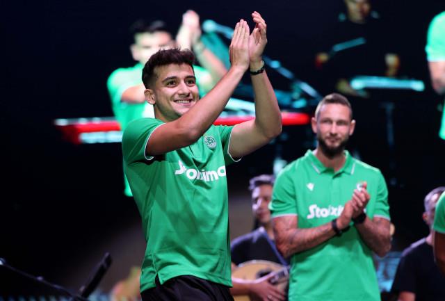 4262078040532861 image