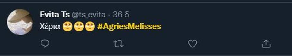 4265005401984658 melisses-1 (2)