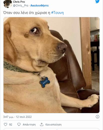 4269401402497906 image