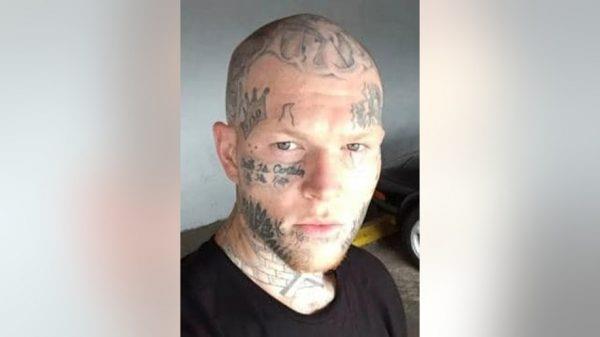 4273025980295983 image