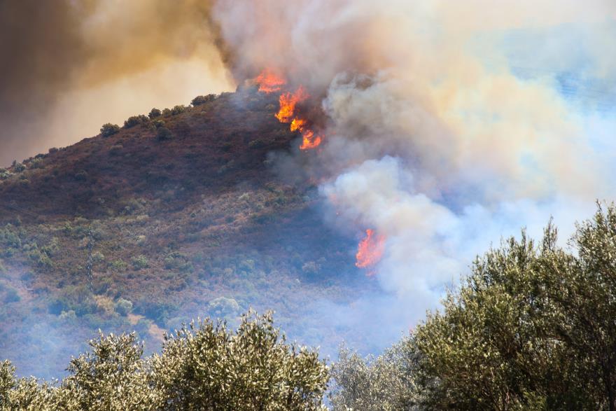 4274143676396226 image