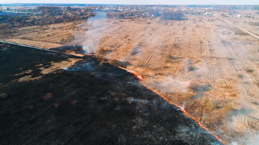 4274143920690660 image