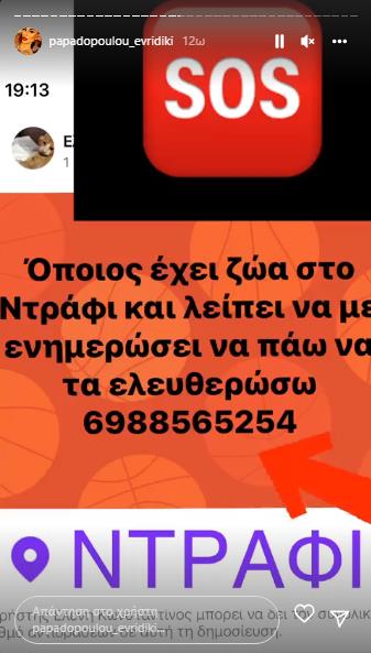 4275353477831418 image