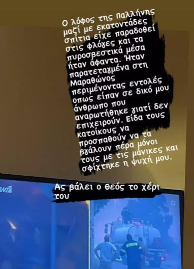 4275466778051284 image