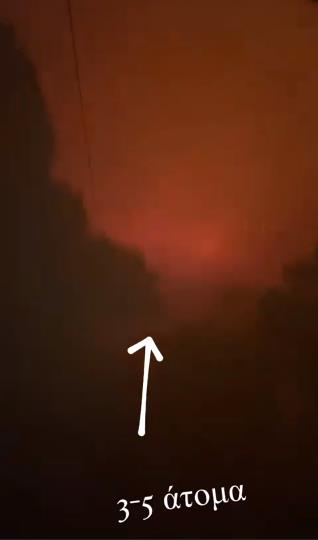 4275530390891085 image