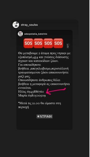 4275565607528628 image