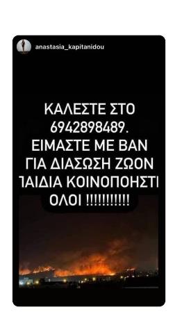 4275566649587987 image