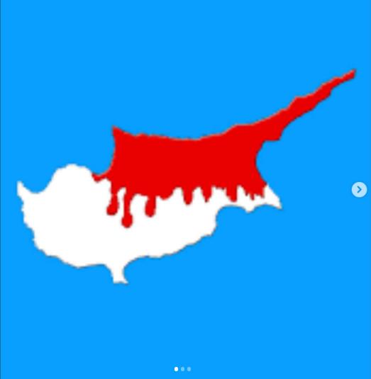 4276300950017327 image