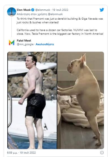 4276349213621943 image