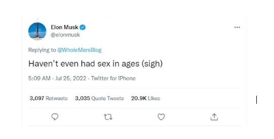 4279848916022393 image