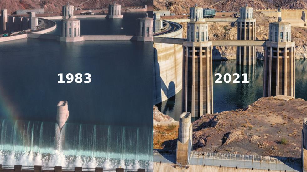 4293809116105977 image