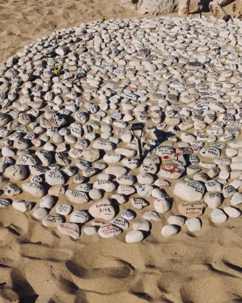 4301595828523084 image