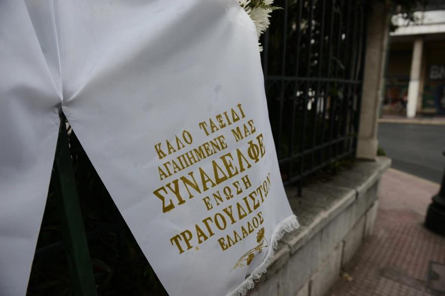 4304890970675397 image