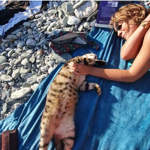 4308196373057558 image