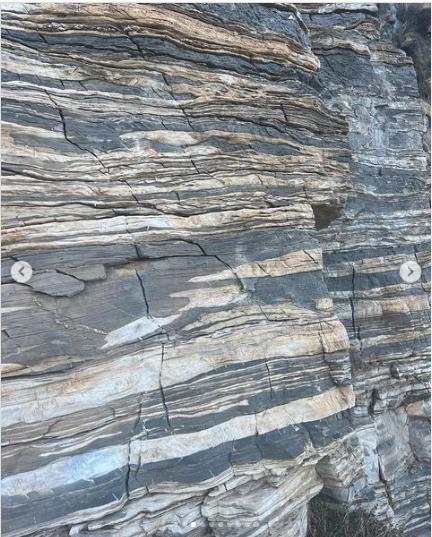 4309155547254352 image