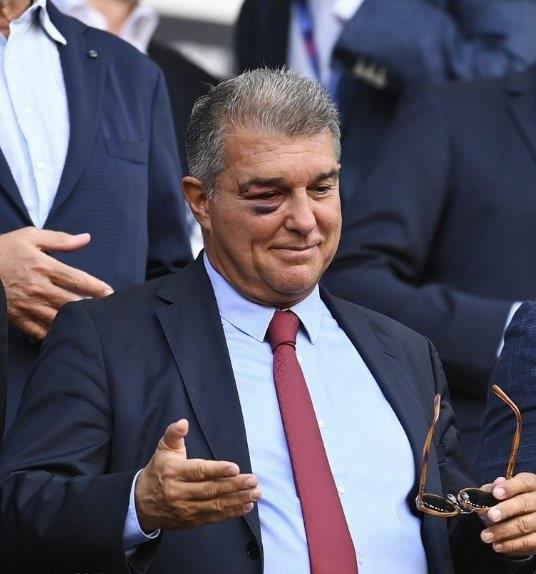 4309538747622023 image