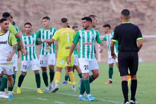 4310335905697447 image