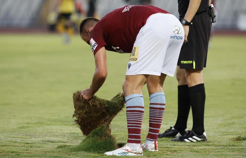 4317851602274224 image