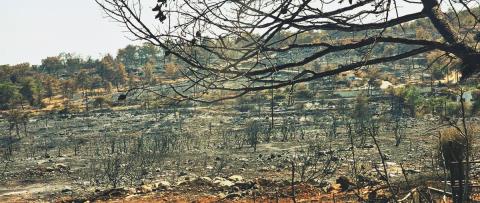 Διαψεύδει η Παπά πως βρισκόταν στην παραλία εν μέσω φονικής πυρκαγιάς-«Ήταν στο εξωτερικό στην αποφοίτηση του παιδιού της»
