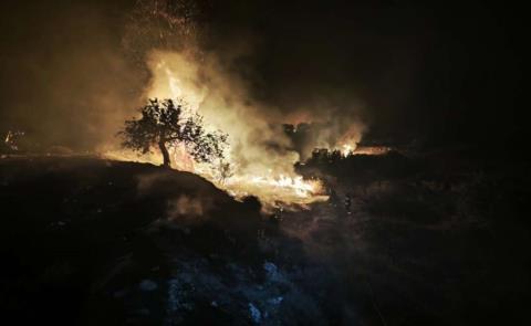 Θετικά αποτιμά το μέτρο για αναστολή δόσεων δανείων για πυρόπληκτους ο ΣΥΠΡΟΔΑΤ