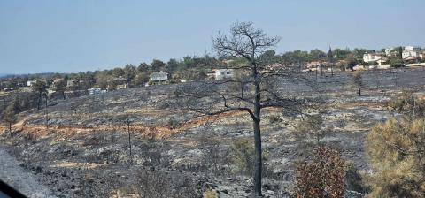 Καταβλήθηκαν 2 εκ. ευρώ σε πυρόπληκτους γεωργούς και κτηνοτρόφους-Στο 30% η αξιολόγησ