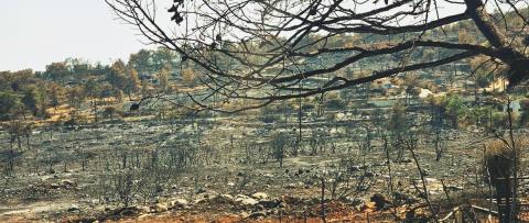 Στο σημείο μηδέν της φονικής πυρκαγιάς για αυτοψία οι Αμερικανοί εμπειρογνώμονες