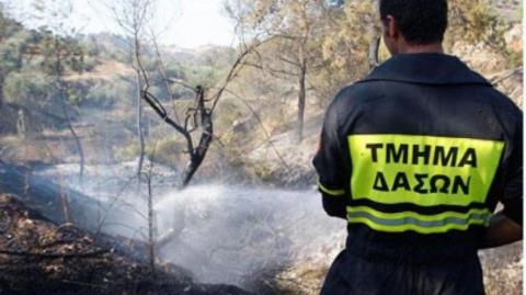 Υπό πλήρη έλεγχο δασική πυρκαγιά στην κοινότητα Αγίας Άννας