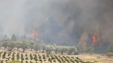 Ανεξέλεγκτη η φωτιά στην Κερατέα-Καίγονται σπίτια, απεγκλωβισμοί κατοίκων και εκκενώσεις περιοχών