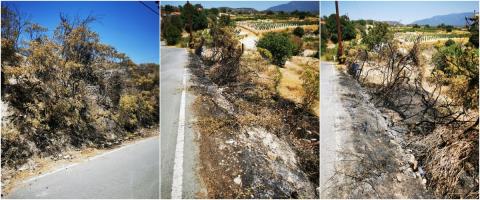 Διαψεύδει την Πυροσβεστική ο Κοινοτάρχης Ομόδους για την πυρκαγιά-Πώς απαντά ο Κεττής