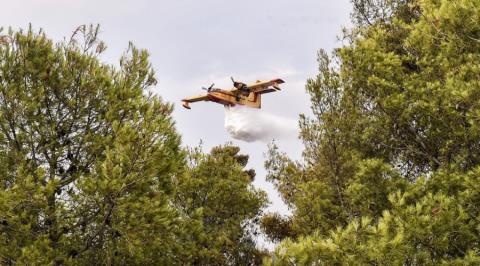 Μεγάλη αναζωπύρωση της πυρκαγιάς στο Χελιδόνι Αρχαίας Ολυμπίας (vid)