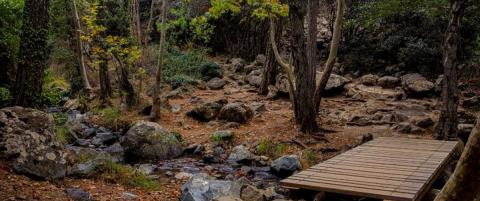 Το πρόστιμο για camping σε κρατικό δάσος χωρίς άδεια-Η ανακοίνωση του Τμήματος Δασών