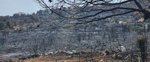 Προσπαθούν να ορθοποδήσουν οι πυρόπληκτες περιοχές-Παραμένει σε δεινή κατάσταση το Σουνί-Ζανατζιά