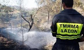 Μικρή έκταση με ξηρά χόρτα και χαμηλή βλάστηση έκαψε πυρκαγιά στις Αγγλισίδες