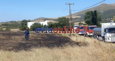 Υπό έρευνα έξι ανήλικα παιδιά για τη συμμετοχή τους σε πυρκαγιές στην Εύβοια-Εξετάστηκαν οι γονείς τους